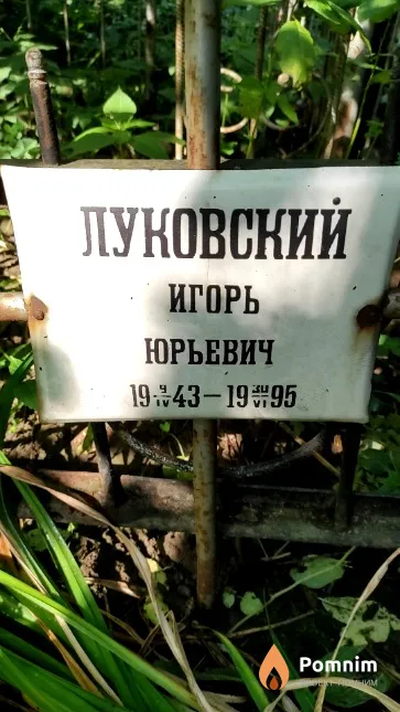 Луковский Игорь Юрьевич
