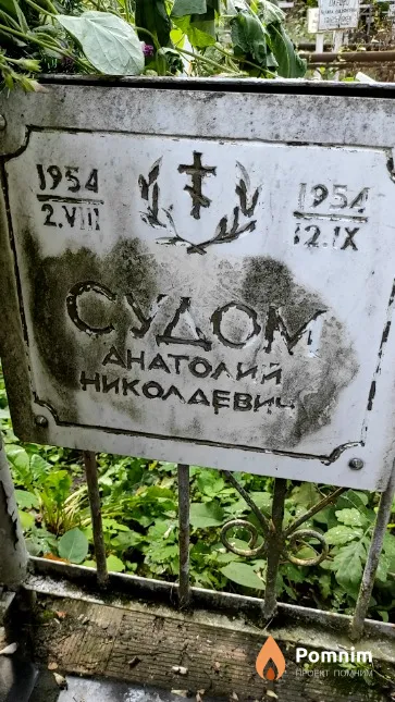 Судом Анатолий Николаевич