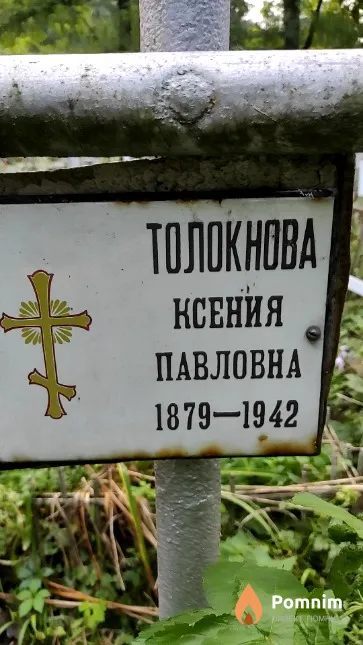 Толокнова Ксения Павловна