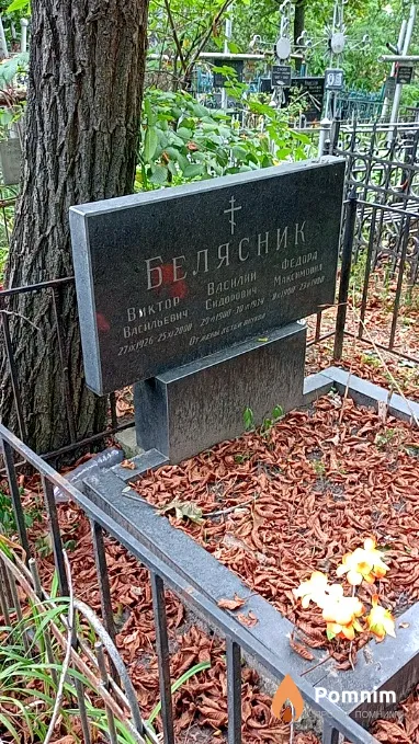 Белясник Виктор Васильевич