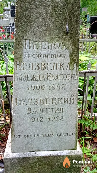 Недзвецкий Валентин