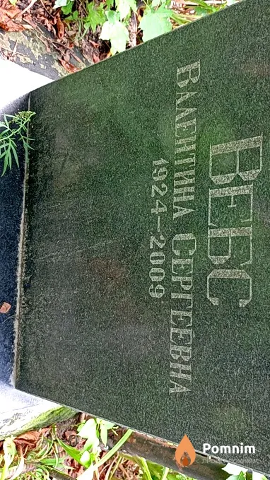 Вебс Валентина Сергеевна