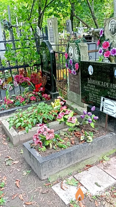 Жуковский Алексей Дмитриевич