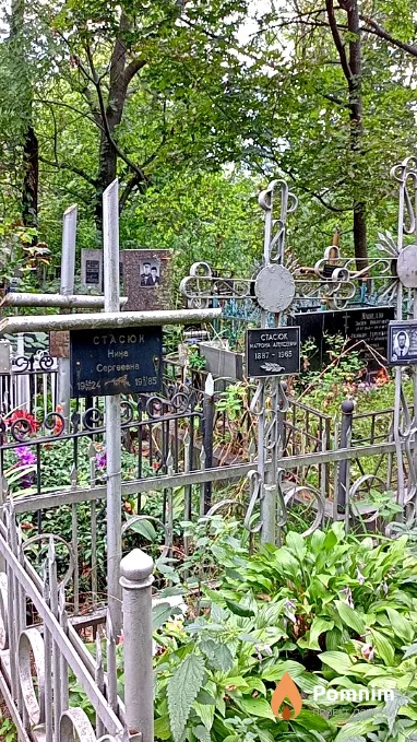 Стасюк Нина Сергеевна