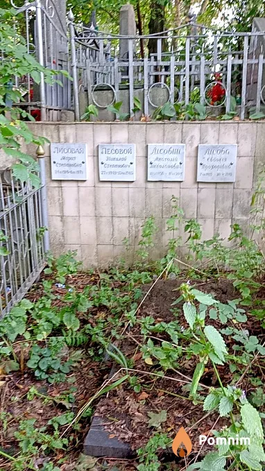 Лесовой Николай Степанович