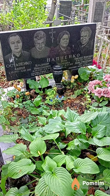 Напненко Вера Марковна