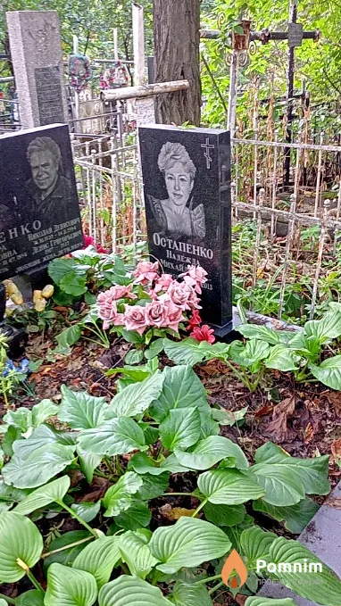Остапенко Надежда Михайловна