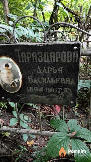 Тараздарова Дарья Васильевна