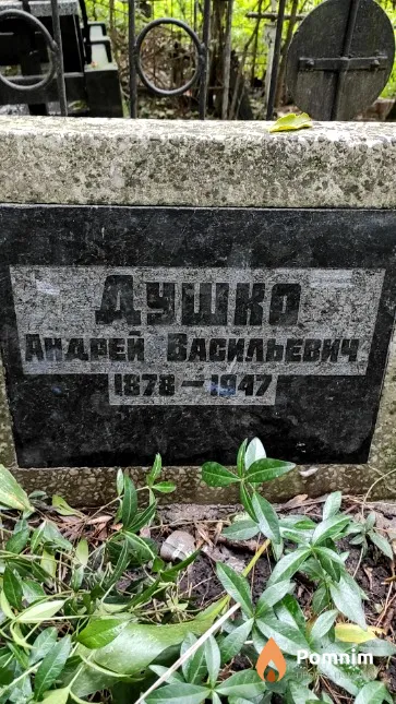 Душко Андрей Васильевич