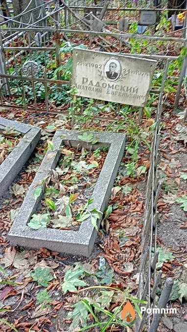 Радомский Анатолий Евгеньевич