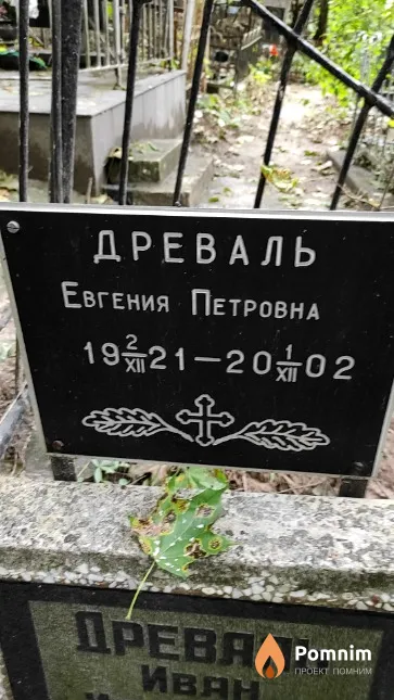Древаль Евгения Петровна