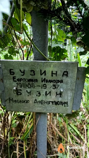 Бузина Ефросиния Ивановна