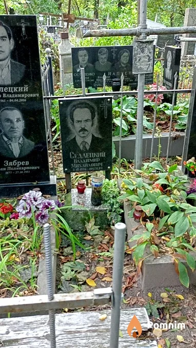 Седлецкий Владимир Михайлович
