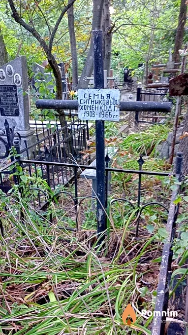Хоменко Д Г