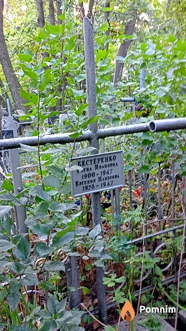 Нестеренко Евгения Павловна