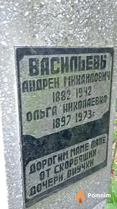 Васильева Ольга Николаевна