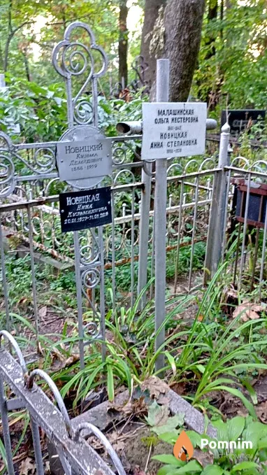 Малашинская Ольга Нестеровна