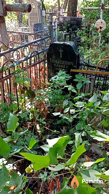 Томасевич Елена Е