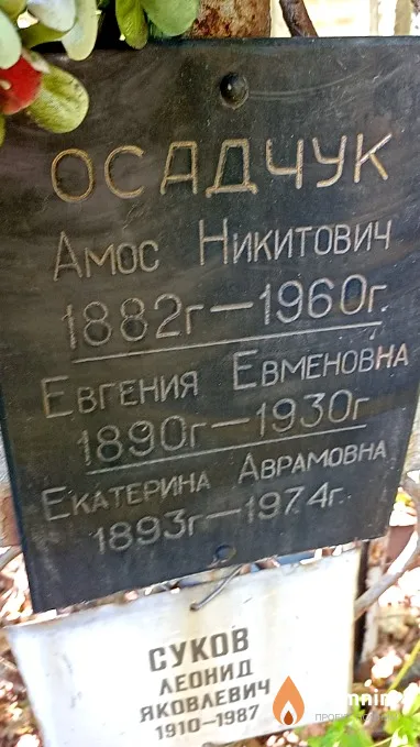 Осадчук Евгения Евменовна