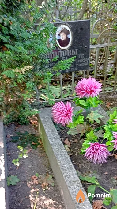 Дышлов А П