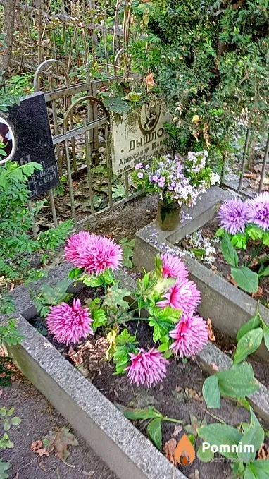 Дышлов Александр Павлович