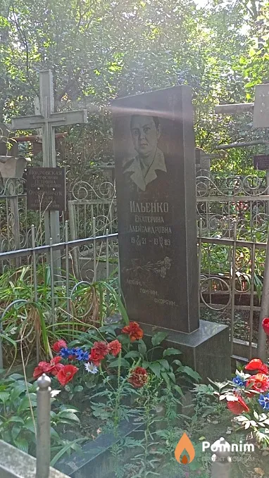 Ильенко Екатерина Александровна