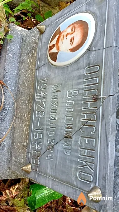 Опанасенко Владимир Михайлович