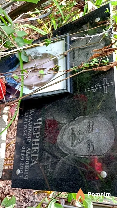 Чернега Владимир Львович