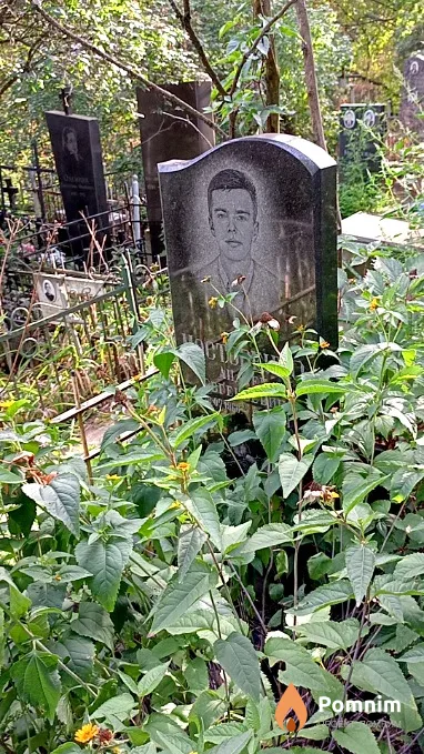 Мостовенко Андрей Евгеньевич