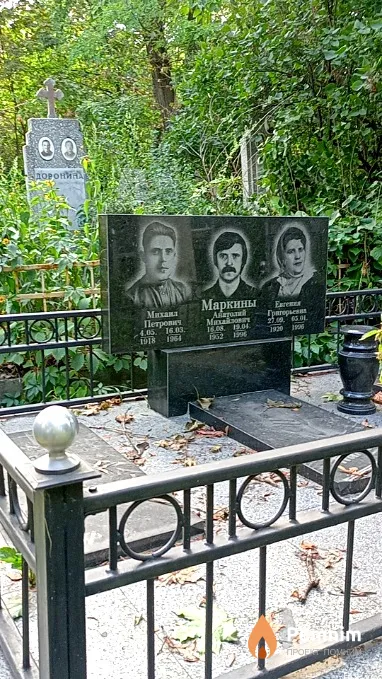 Визерский Г П