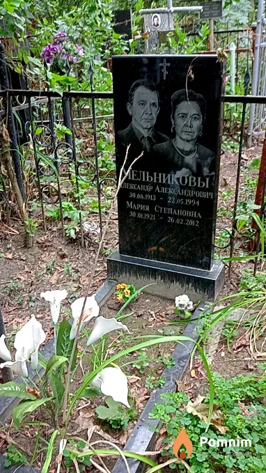 Мельников Александр Александрович