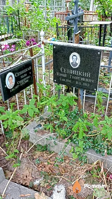 Сеницкий Юрий Георгиевич