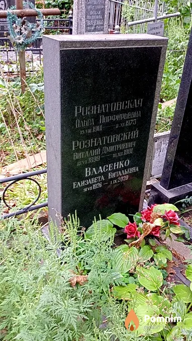 Власенко Елизавета Витальевна