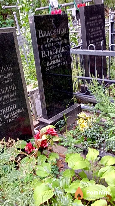Власенко Ирина