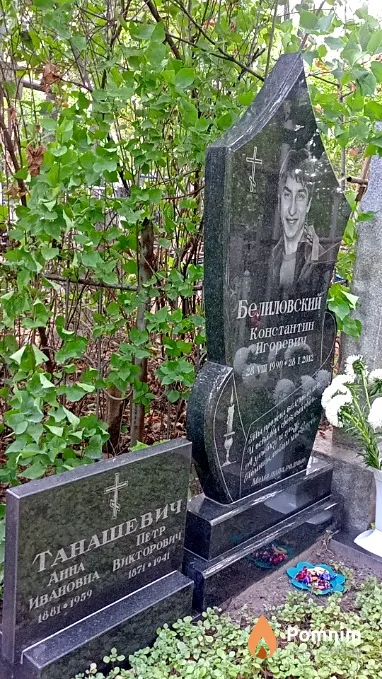 Танашевич Анна Ивановна