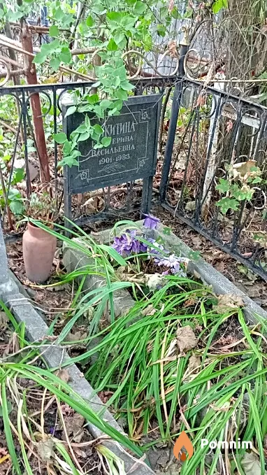 Никитина Екатерина Васильевна