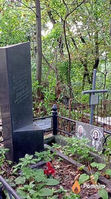 Дмитриева Н Р
