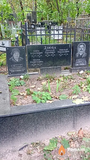 Дзюба Николай Николаевич