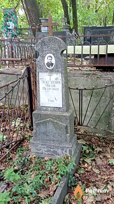 Ложешник Яков Петрович