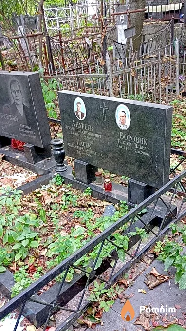 Боровик Виктор Ильич