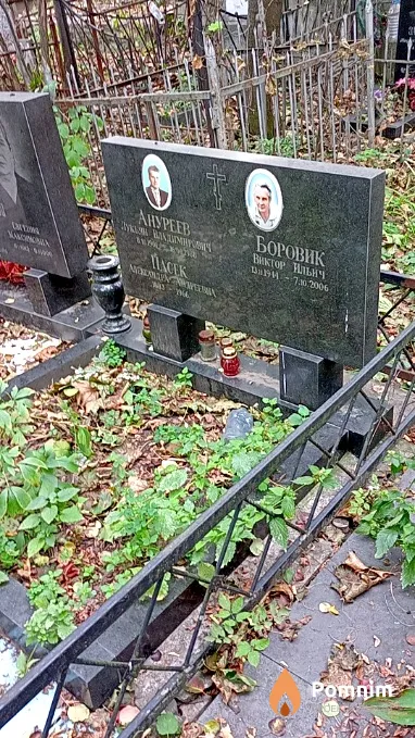 Пасек Александра Андреевна