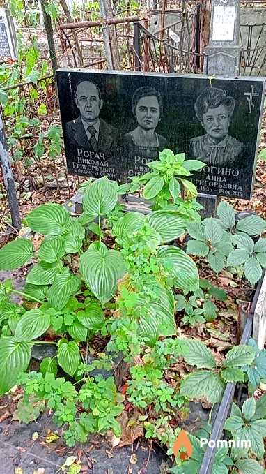 Рогач Николай Григорьевич