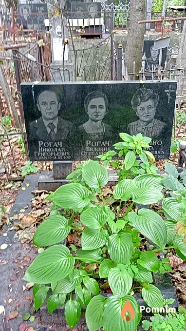 Богино Анна Григорьевна