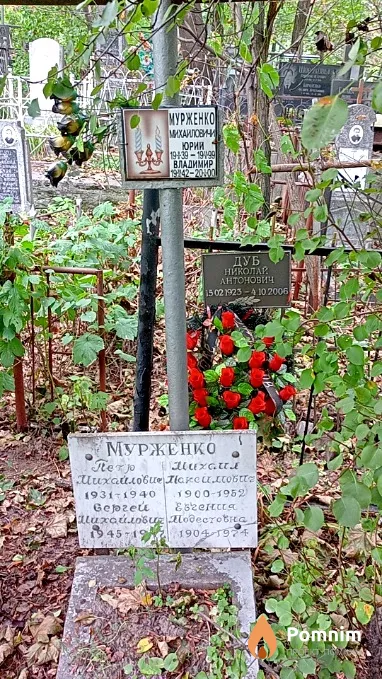 Дуб Николай Антонович