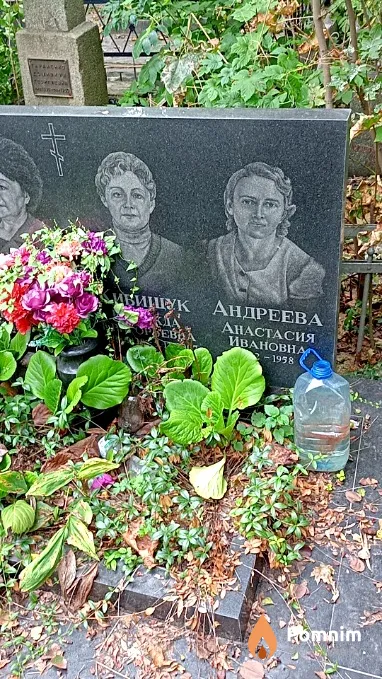 Андреева Анастасия Ивановна