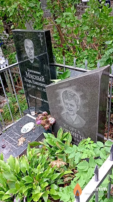 Мисный Игорь Николаевич