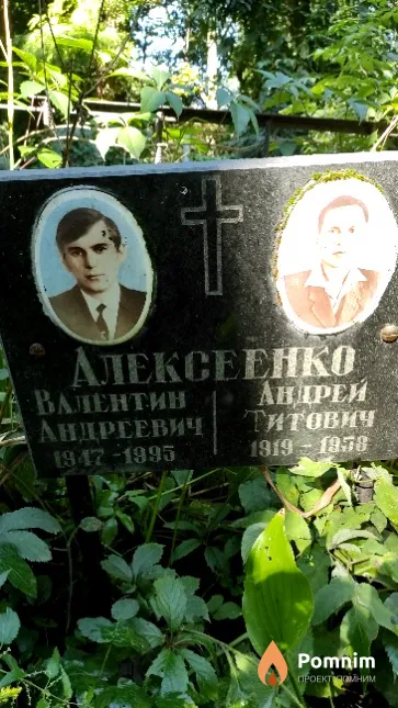 Алексеенко Андрей Титович