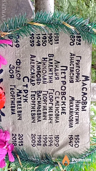 Петровский Александр Георгиевич