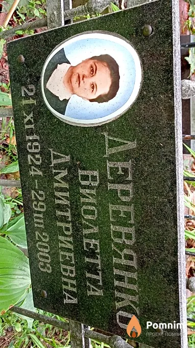 Деревянко Виолетта Дмитриевна