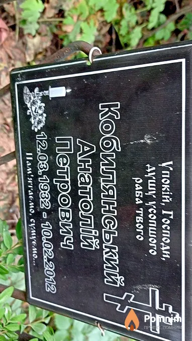 Кобилянский Анатолий Петрович